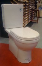 White porcelean flush toilet on an orange rug 